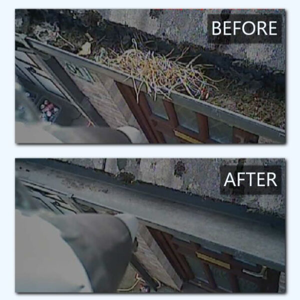 gutter clean before & after